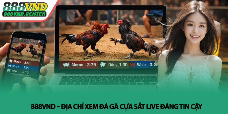 Xem đá gà cựa sắt live - Trực tiếp sắc nét tại 888VND 4 888VND – Địa chỉ xem đá gà cựa sắt live đáng tin cậy