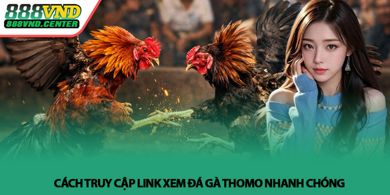 Link xem đá gà Thomo - Trực tiếp nhanh nhất tại 888VND 3 Cách truy cập link xem đá gà Thomo nhanh chóng