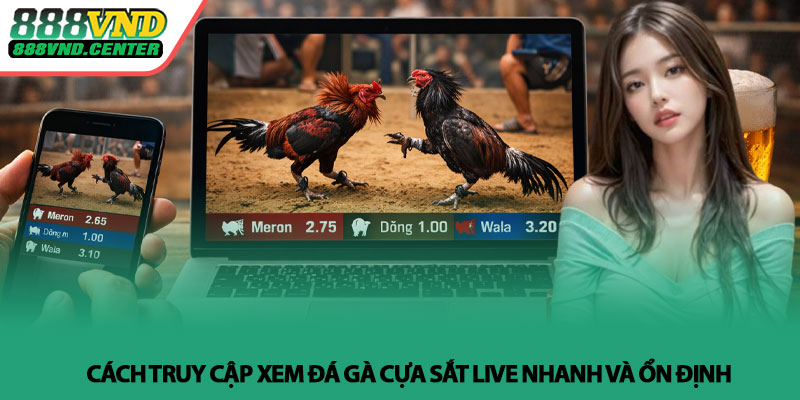 Xem đá gà cựa sắt live - Trực tiếp sắc nét tại 888VND 3 Cách truy cập xem đá gà cựa sắt live nhanh và ổn định