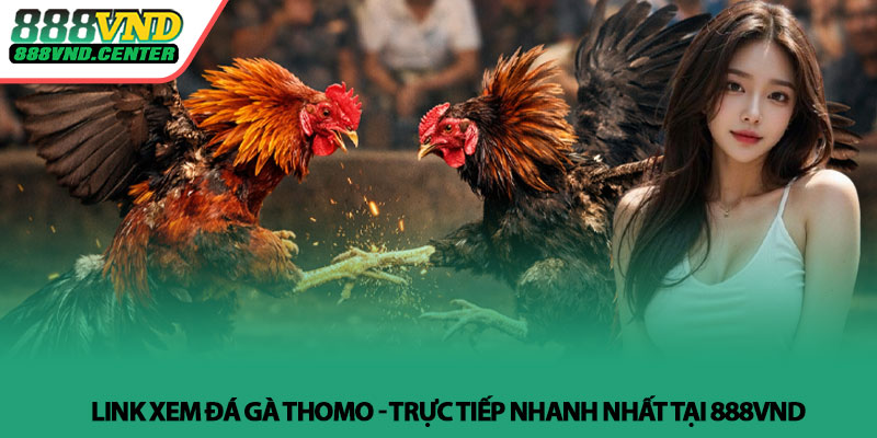 Link xem đá gà Thomo - Trực tiếp nhanh nhất tại 888VND 2 Link xem đá gà Thomo - Trực tiếp nhanh nhất tại 888VND