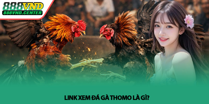 Link xem đá gà Thomo - Trực tiếp nhanh nhất tại 888VND 2 Link xem đá gà Thomo là gì?