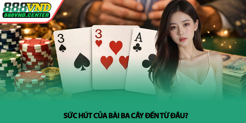 Bài ba cây - Bí quyết kiểm soát cược hiệu quả tại 888VND 2 Sức hút của bài ba cây đến từ đâu?