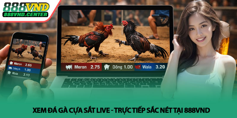 Xem đá gà cựa sắt live - Trực tiếp sắc nét tại 888VND 1 Xem đá gà cựa sắt live - Trực tiếp sắc nét tại 888VND