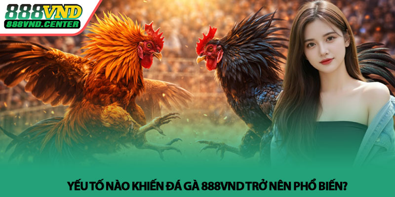 Đá gà 888VND - Theo dõi trận đấu, cảm nhận từng nhịp 3 Yếu tố nào khiến Đá gà 888VND trở nên phổ biến?